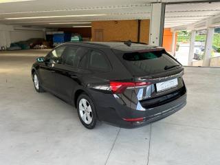 SKODA Octavia usata, con Autoradio