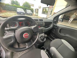 FIAT Panda usata, con ESP