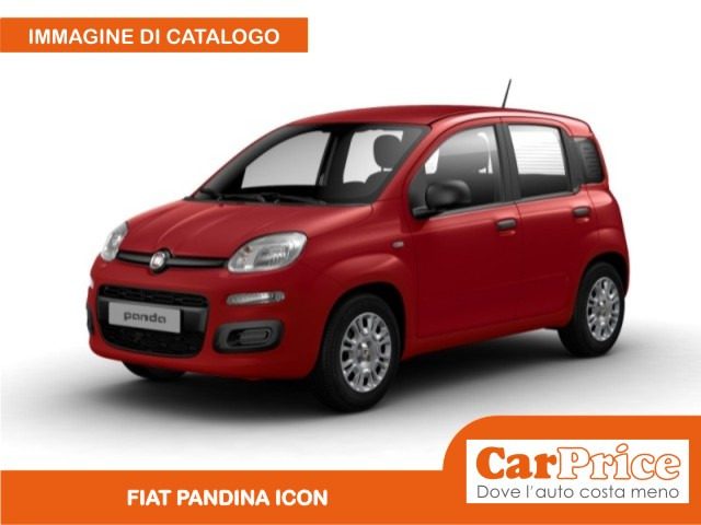 FIAT Pandina usata, con USB