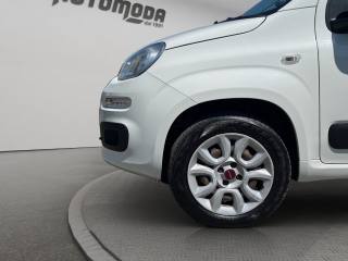 FIAT Panda usata 18