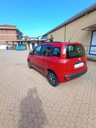 FIAT Panda usata, con Climatizzatore