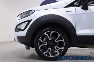 FORD EcoSport usata, con Volante in pelle