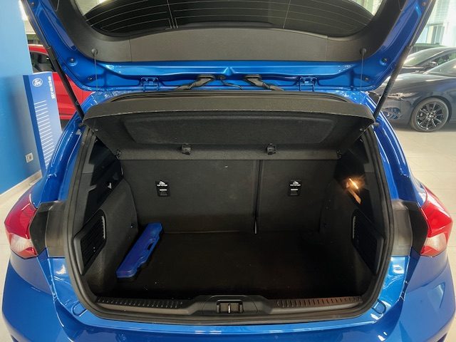 FORD Focus usata, con Servosterzo