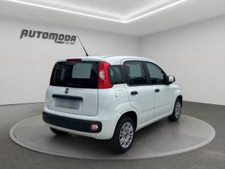 FIAT Panda usata 3