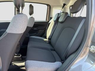 FIAT Panda usata 10