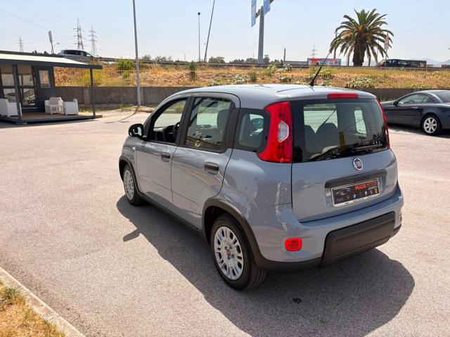 FIAT Panda usata, con Airbag Passeggero