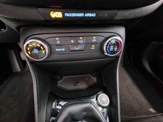 FORD Fiesta usata, con Fendinebbia