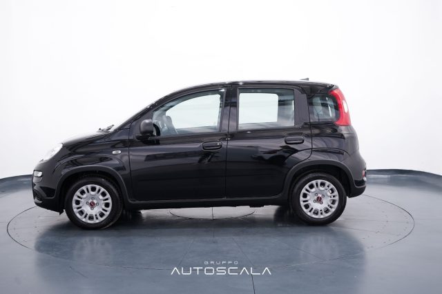 FIAT New Panda usata, con Airbag Passeggero