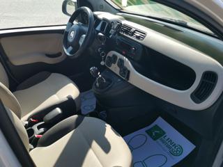 FIAT Panda usata 14