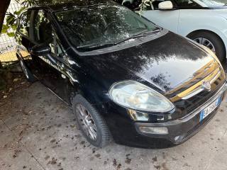 FIAT Punto Evo usata, con Climatizzatore