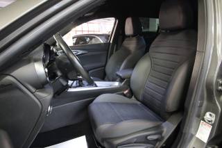 ALFA ROMEO Tonale usata, con Vetri oscurati