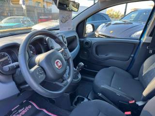 FIAT Panda Cross usata, con Controllo automatico clima