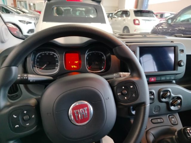 FIAT Panda Cross usata, con Airbag testa
