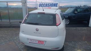 FIAT Punto usata, con Chiusura centralizzata