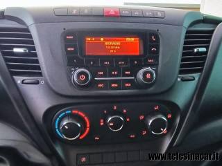 IVECO  usata 13