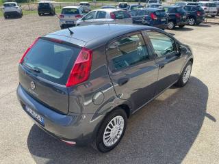 FIAT Punto usata, con Controllo trazione