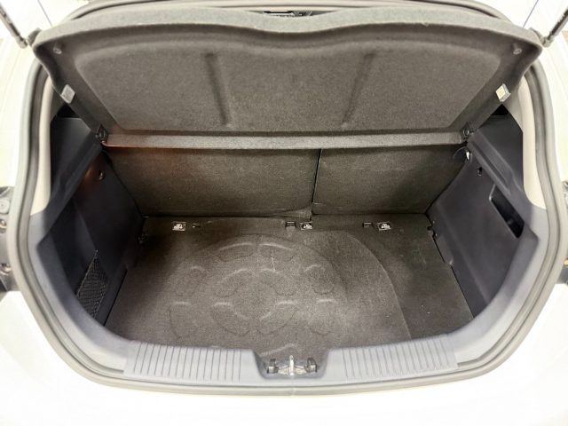 KIA Rio usata, con Fendinebbia