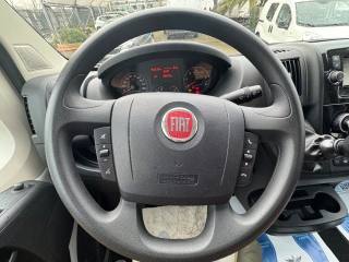 FIAT Ducato usata, con Servosterzo