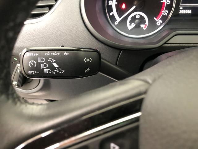 SKODA Octavia usata, con Fendinebbia