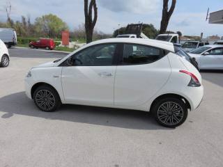 LANCIA Ypsilon usata, con Airbag Passeggero