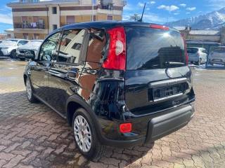 FIAT Panda usata, con Controllo trazione