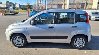 FIAT Panda usata, con Airbag Passeggero