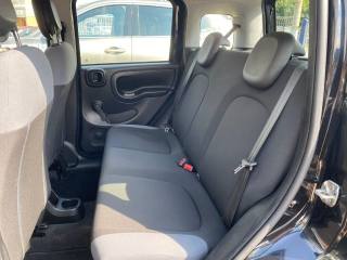 FIAT Panda usata, con Airbag testa