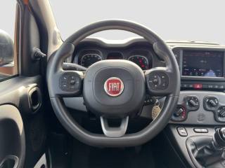 FIAT Panda usata 12