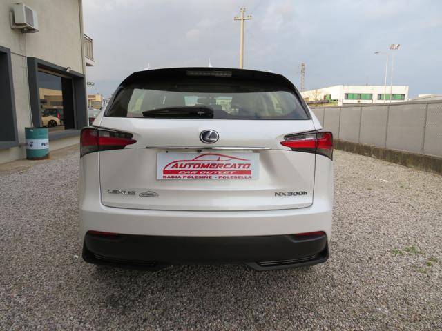 LEXUS NX 300 usata, con Antifurto