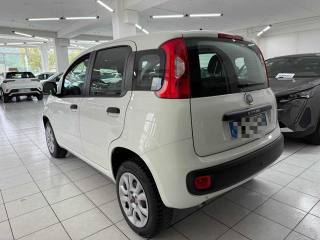 FIAT Panda usata, con Climatizzatore