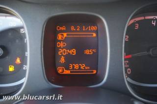 FIAT Panda usata 15