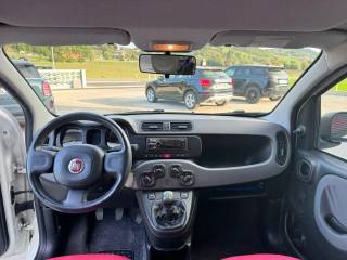 FIAT Panda usata, con Immobilizzatore elettronico