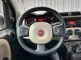 FIAT Panda usata 16