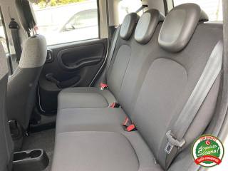 FIAT Panda usata, con Chiusura centralizzata telecomandata
