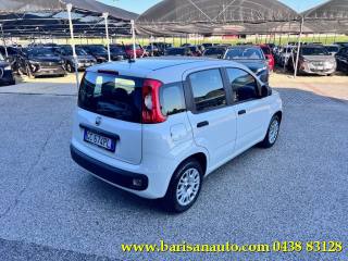 FIAT Panda usata, con Airbag Passeggero