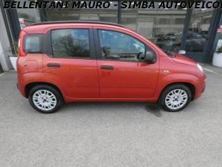 FIAT Panda usata, con Servosterzo