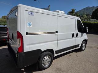 OPEL Movano usata, con Airbag Passeggero