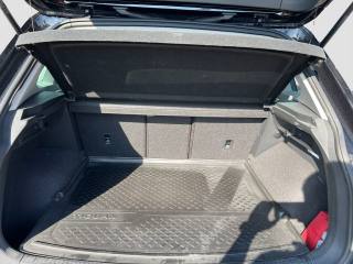 VOLKSWAGEN Tiguan usata 14