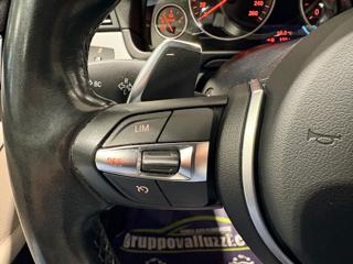 BMW 525 usata, con Fendinebbia