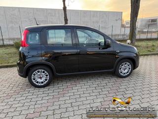 FIAT Panda usata, con Antifurto