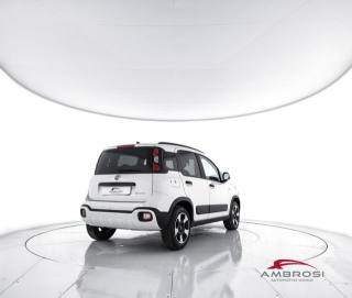 FIAT Panda usata 2