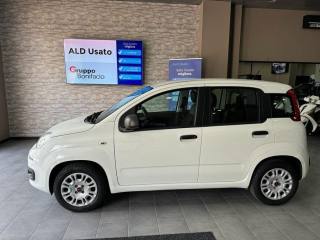 FIAT Panda usata, con Controllo trazione