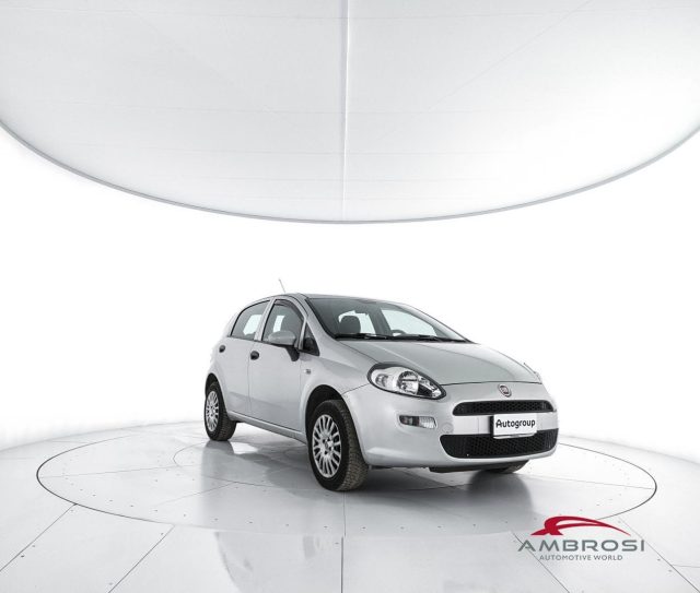 FIAT Punto usata 1