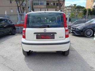 FIAT Panda usata, con Alzacristalli elettrici