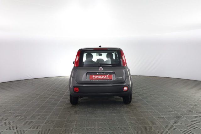 FIAT Panda usata 4