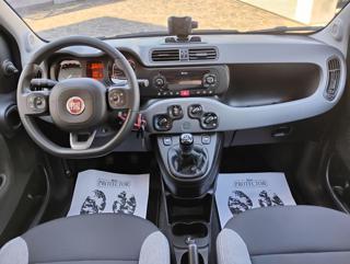 FIAT Panda usata, con Controllo trazione