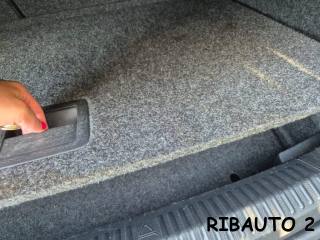 VOLKSWAGEN Polo usata, con Volante in pelle
