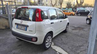 FIAT Panda usata, con Chiusura centralizzata