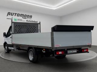 FORD Transit usata, con Cruise Control