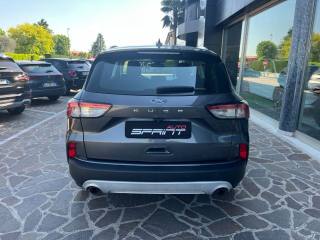 FORD Kuga usata, con Fendinebbia